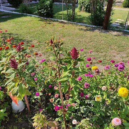 Nea Zoi Villa Moraitika Exterior photo